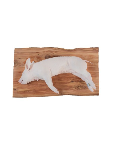 Cochinillo de Segovia