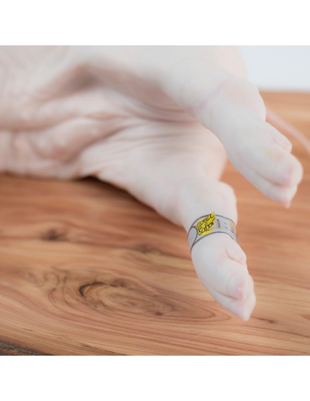 Cochinillo de Segovia