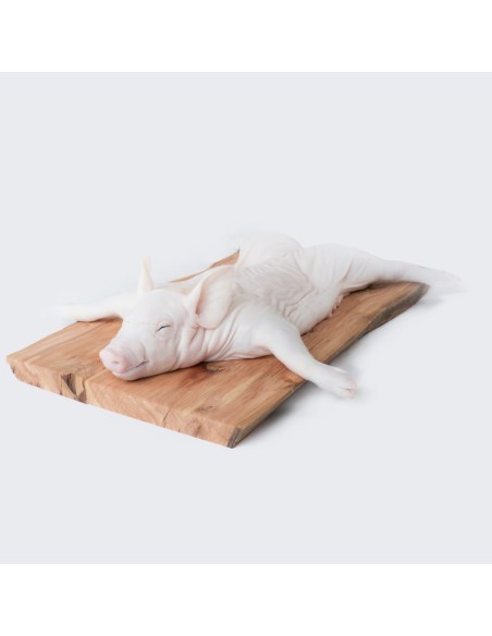 Cochinillo de Segovia