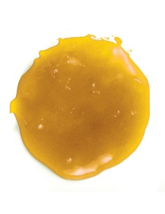 Yuzu En Pasta. 1,5 Kg 2