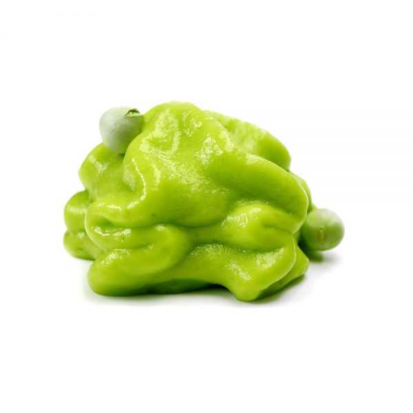 Proespuma Caliente. 500 Gr 2