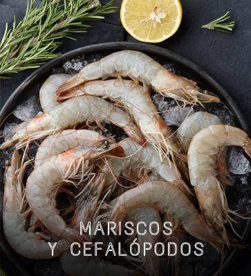 mariscos gourmet